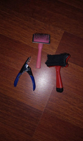 potreby-pre-macicky-big-2