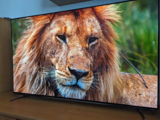 predam-oled-55-palcovu-tv
