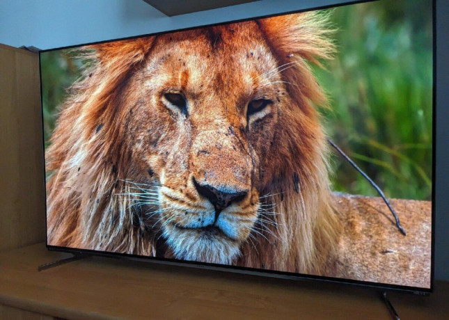 predam-oled-55-palcovu-tv-big-0