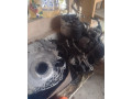 motor-small-0