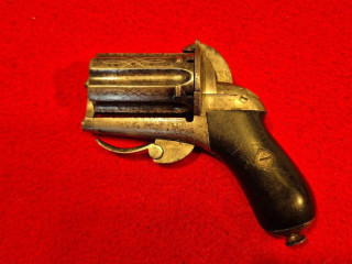 miniaturna-korenicka