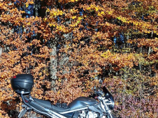 suzuki-gsf-650a