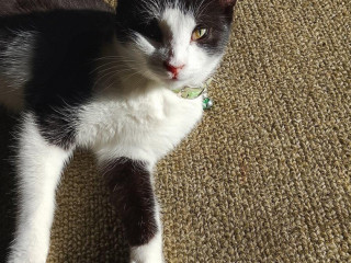 darujem-krizenu-devat-mesacnu-macicku