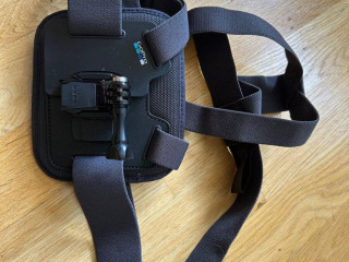 gopro-chesty
