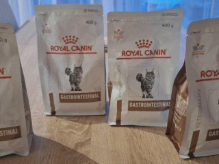 royal-canin-gastro-intestinal