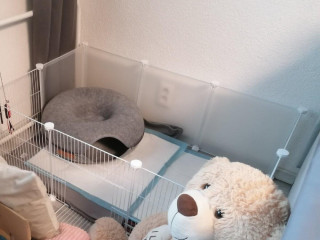 ohradka-pre-zvieratka