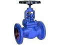 globe-valves-dealers-in-kolkata-small-0