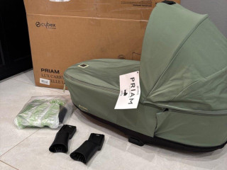 cybex-priam-leaf-vanicka-40