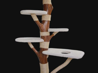 macaci-strom-skrabadlo