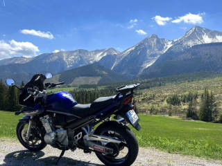 suzuki-gsf-1250sa-bandit