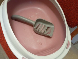 toaleta-a-kos-pre-macku