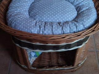 pruteny-pelech-zn-mici