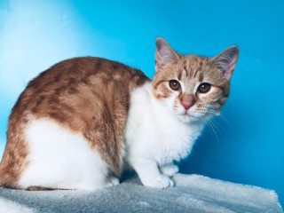 lenka-si-hlada-domov-vo-vnutri