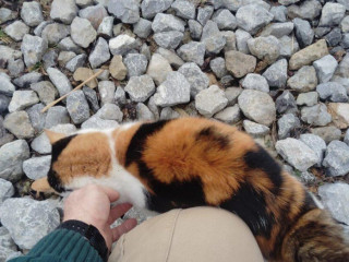 darujeme-dvojrocnu-macicku