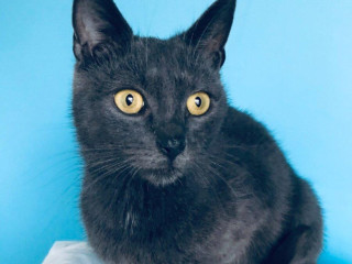 bianca-si-hlada-domov-vo-vnutri