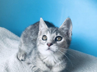 lenocka-si-hlada-domov-vo-vnutri