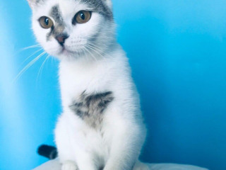 tami-si-hlada-domov-vo-vnutri