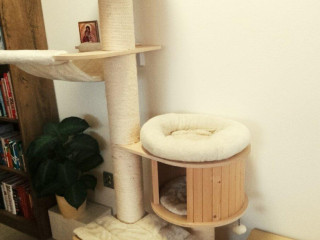 macaci-strom-skrabadlo