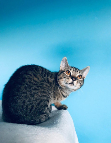 stanko-si-hlada-domov-vo-vnutri-big-0