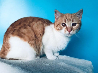 lenka-si-hlada-domov-vo-vnutri