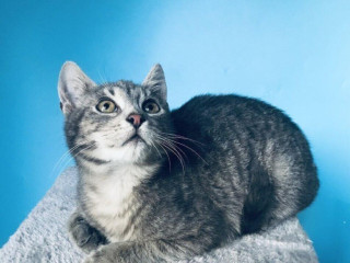 harry-si-hlada-domov-vo-vnutri