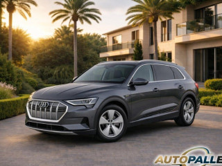 audi-e-tron-50-quattro-rv-tis-km