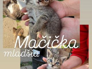 macky