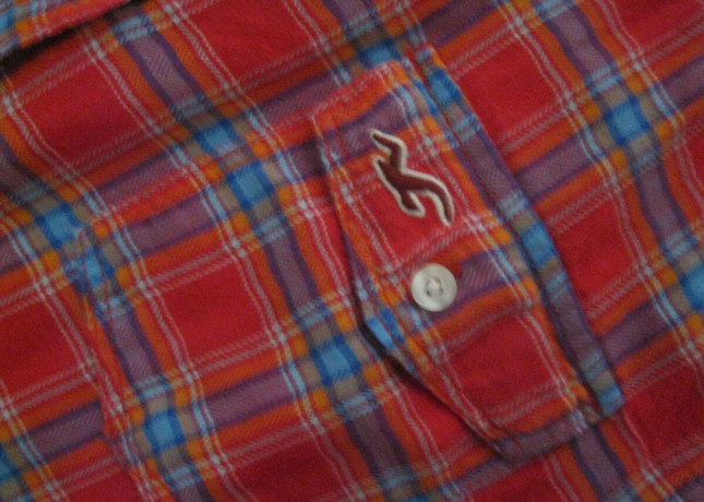 hollister-velm-big-1