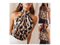 top-leo-small-0