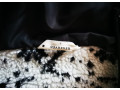 flisova-bunda-reserved-small-3