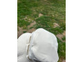 predam-klobuk-air-jordan-small-2