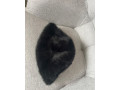 klibucik-small-2