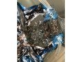 letne-minisaty-sm-2ks-small-1