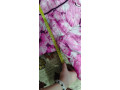 dievcenska-zimna-suprava-small-2