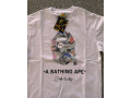 a-bathing-ape-bape-tricko-small-1