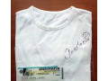 anastacia-autograph-small-0
