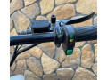 elektricka-kolobezka-citycoco-1000w-choper-small-4