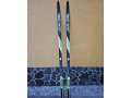 predam-bezky-skol-trinity-skin-180-cm-nnn-small-0
