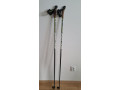 palice-fischer-rcs-carbon-small-1
