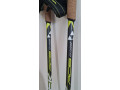 palice-fischer-rcs-carbon-small-0