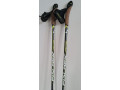 palice-fischer-rcs-carbon-small-2