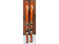 nordica-beast-69-small-0
