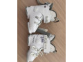 damske-lyziarky-head-small-0