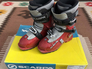 scarpa-venus