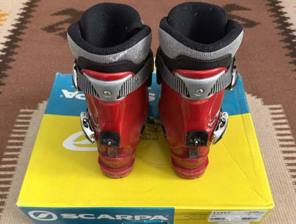 scarpa-venus-big-1