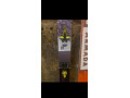 armada-lyze-small-3