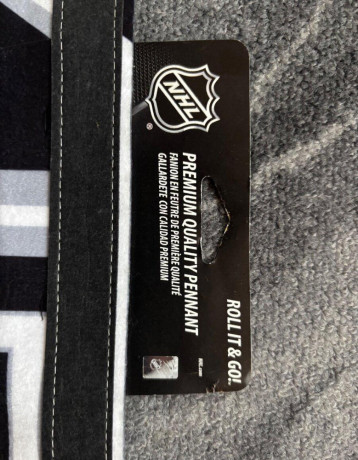 nhl-los-angeles-kings-big-1