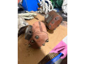2x-cerpadlo-hydrauliky-original-zetor-small-0