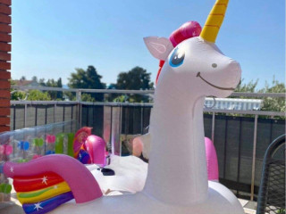 mega-unicorn-ostrov