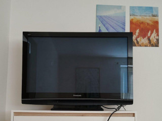 predam-panasonic-42-palcov